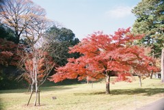 皇居内　