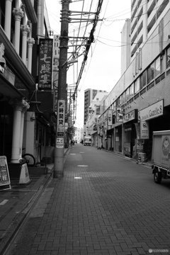 散歩コーススナップ