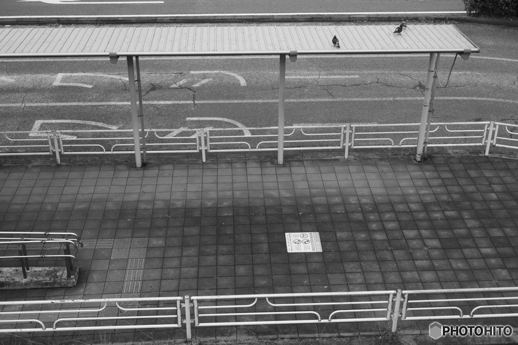 散歩コーススナップ