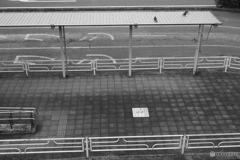 散歩コーススナップ