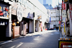 散歩コーススナップ