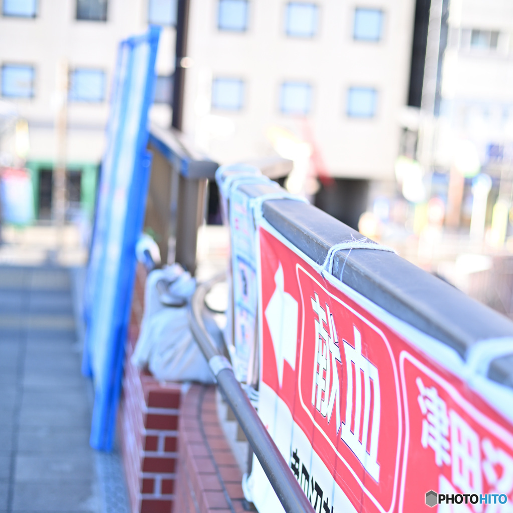 散歩コーススナップ