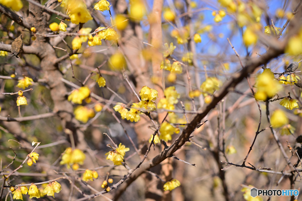 散歩コーススナップ