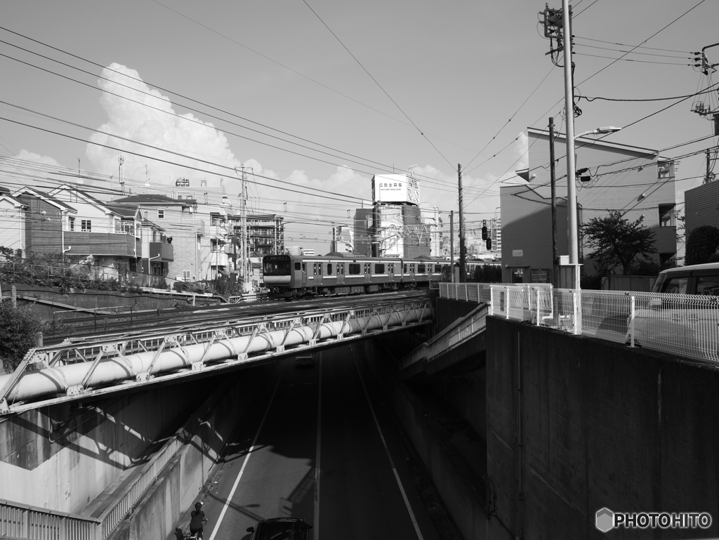散歩コーススナップ