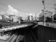 散歩コーススナップ