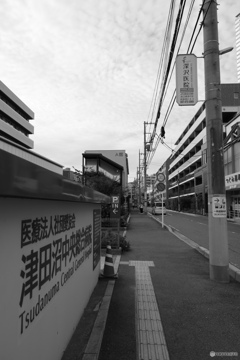 散歩コーススナップ