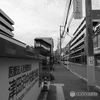 散歩コーススナップ