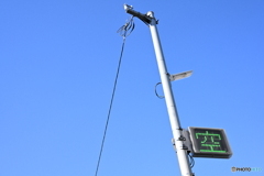 散歩コーススナップ