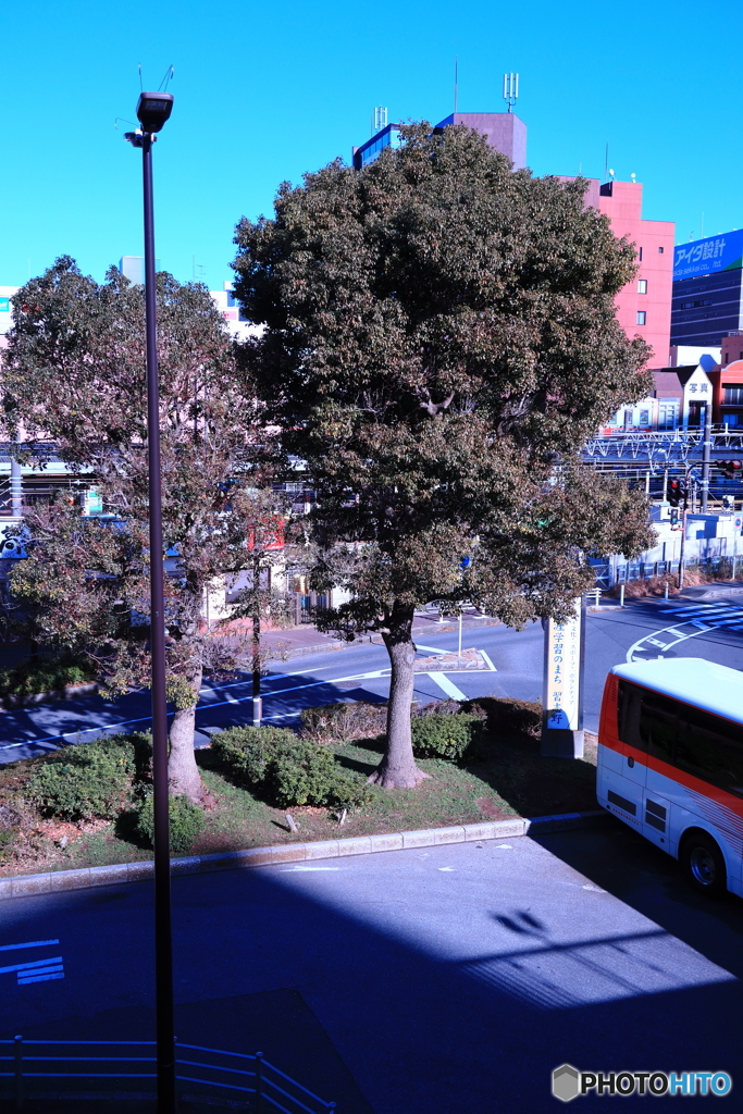 散歩コーススナップ