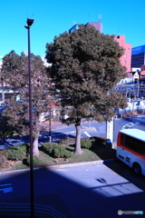 散歩コーススナップ