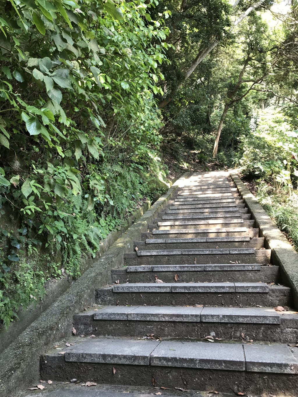日本寺　参道