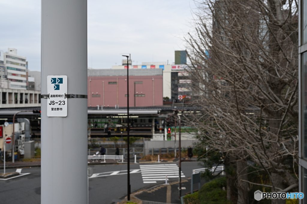 散歩コーススナップ