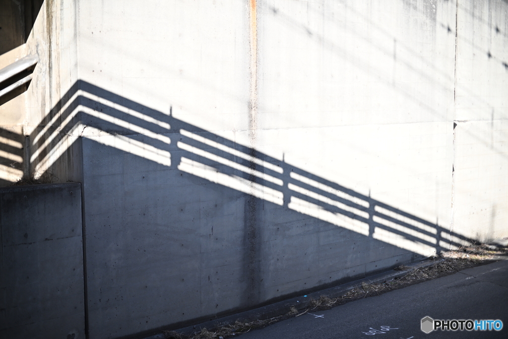 散歩コーススナップ