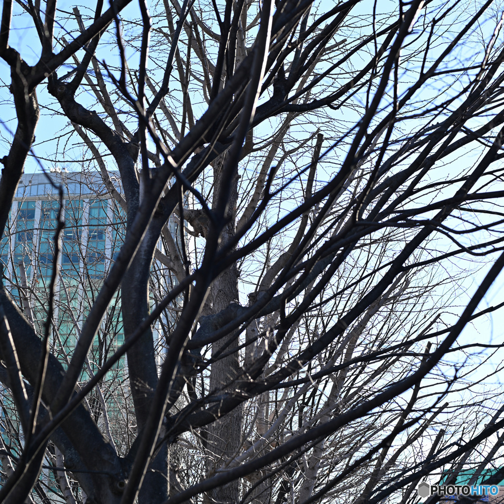 散歩コーススナップ