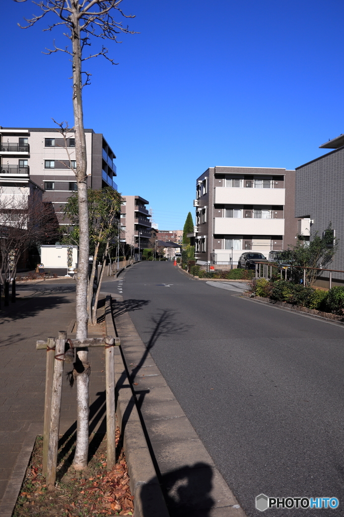 散歩コーススナップ