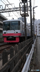 散歩コーススナップ