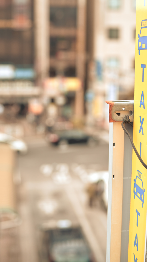 散歩コーススナップ