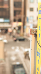 散歩コーススナップ