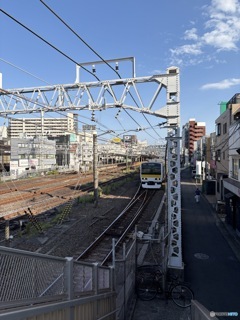 散歩コーススナップ