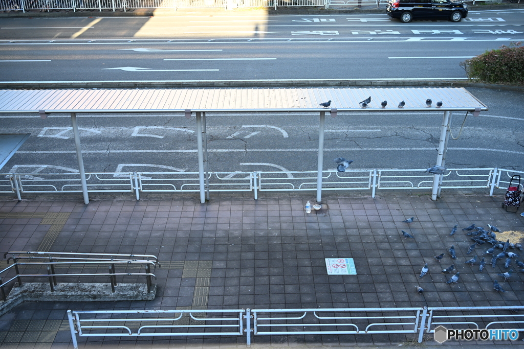 散歩コーススナップ