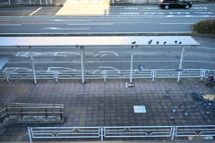 散歩コーススナップ