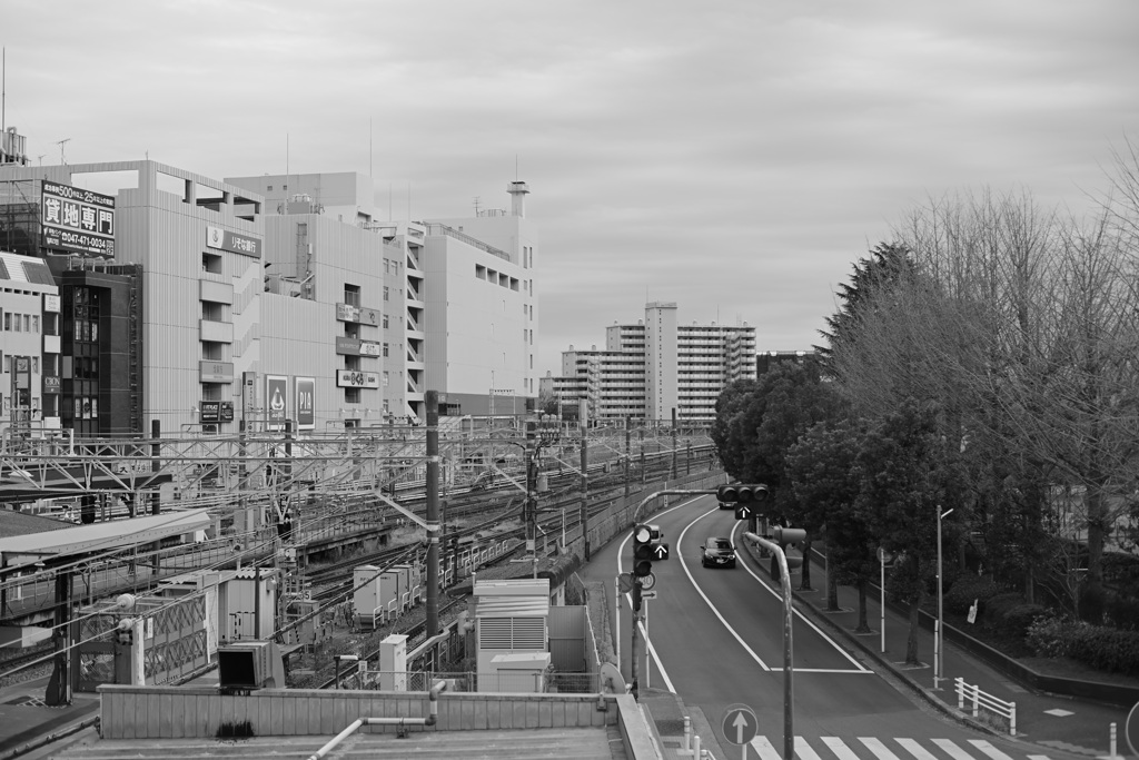 散歩コーススナップ