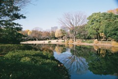北の丸公園　池