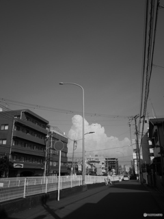 散歩コーススナップ