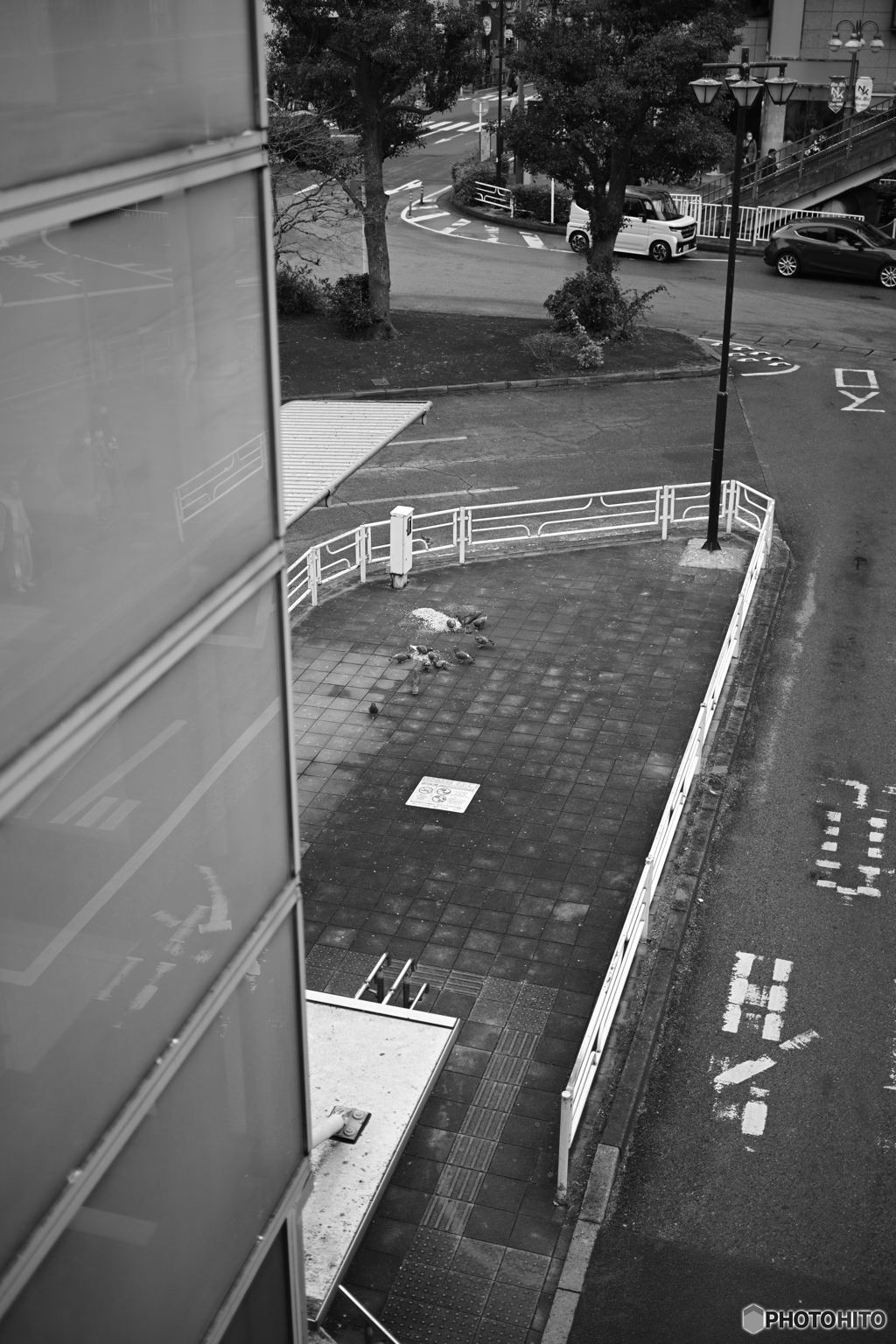 散歩コーススナップ