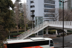 散歩コーススナップ