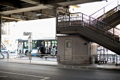 散歩コーススナップ