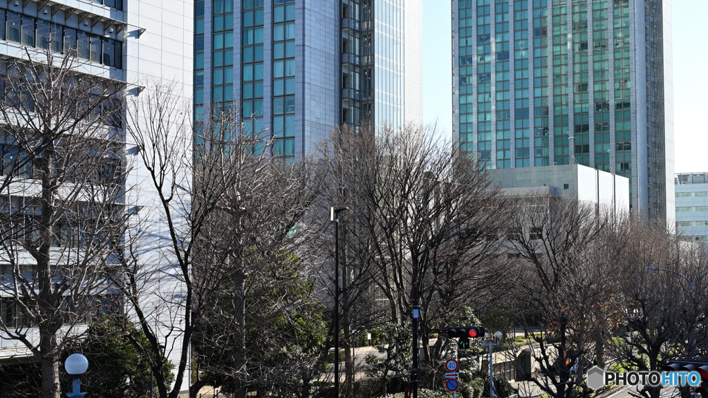 散歩コーススナップ