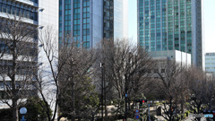 散歩コーススナップ