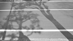 散歩コーススナップ