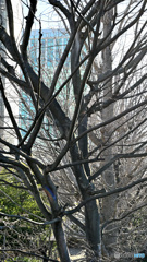 散歩コーススナップ