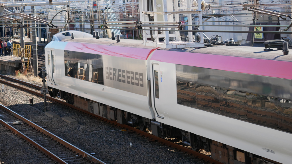 散歩コーススナップ