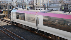 散歩コーススナップ