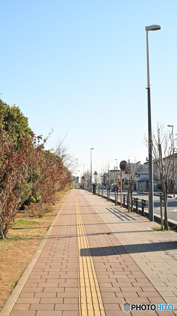 散歩コーススナップ