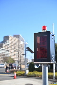 散歩コーススナップ