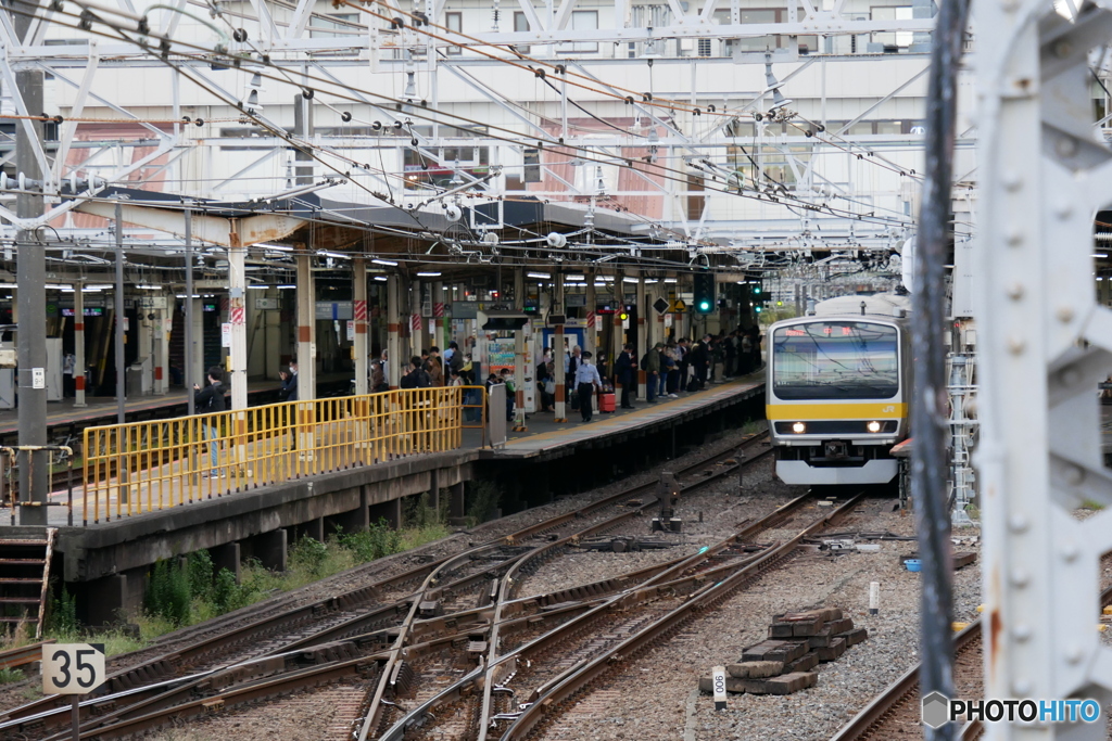 散歩コーススナップ