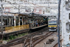 散歩コーススナップ