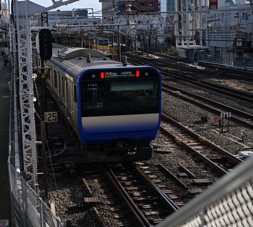 散歩コーススナップ