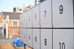 散歩コーススナップ