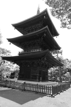 豪徳寺