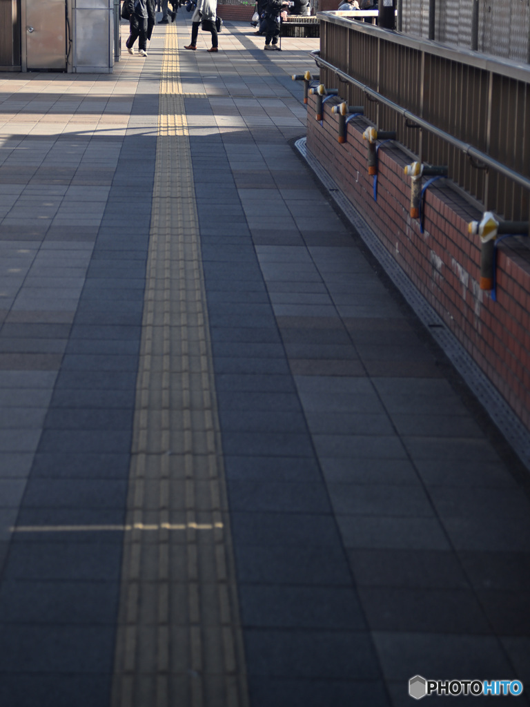 散歩コーススナップ