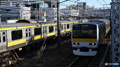 散歩コーススナップ