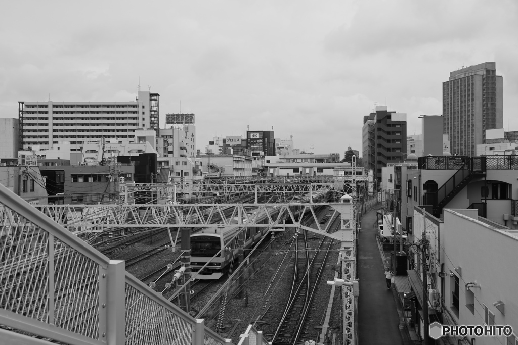 散歩コーススナップ
