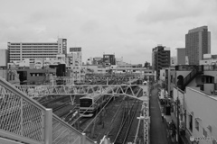 散歩コーススナップ