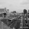 散歩コーススナップ
