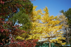 散歩コーススナップ